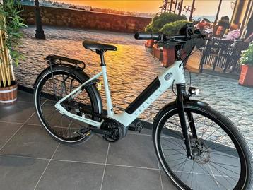 ❗️Gazelle Ultimate C8 Belt 500 Wh 53 cm 6 MND GARANTIE❗️ beschikbaar voor biedingen
