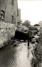 Epe - De Wisselse Korenmolen, Verzamelen, Ophalen of Verzenden, Voor 1920, Gelopen, Gelderland