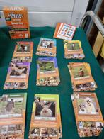 kwartet boerderij dieren, Hobby en Vrije tijd, Gezelschapsspellen | Overige, Ophalen of Verzenden, 'T Olde Gre-j, Info@toldegrej.nl