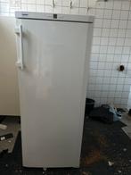 Vrieskast - Liebherr - Vrijstaand, Witgoed en Apparatuur, Vriezers en Diepvrieskisten, Gebruikt, 160 cm of meer, Ophalen, Vrieskast