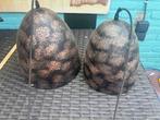 Twee mooie hanglampen, Ophalen of Verzenden, Zo goed als nieuw