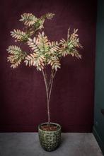 PTMD kunstboom Robinia groen/paars 210cm (NIEUW), Nieuw, Ophalen