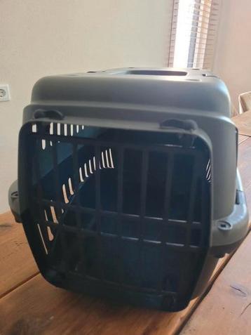 Reismand kat of konijn beschikbaar voor biedingen