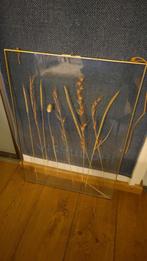 Fotolijst met gedroogde grassen - Brass 50x70, Ophalen, Nieuw