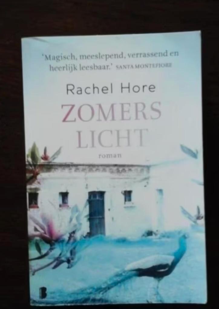 Boek: zomers licht van Rachel Hore, Boeken, Romans, Zo goed als nieuw, Europa overig, Ophalen