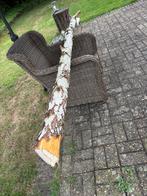 Berkenboom tak decoratie, Ophalen