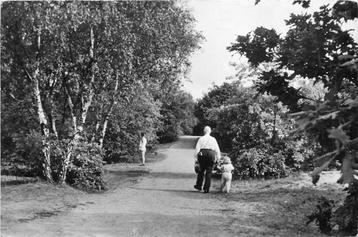 (300-170-011) Laren Kampeercentrum De Heidebloem beschikbaar voor biedingen