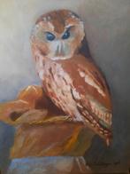 Olieverfschilderij bosuil gesigneerd, Antiek en Kunst, Kunst | Schilderijen | Modern, Ophalen of Verzenden