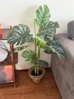 Mooie kunstplant, Ophalen, Overige soorten, Halfschaduw, In pot