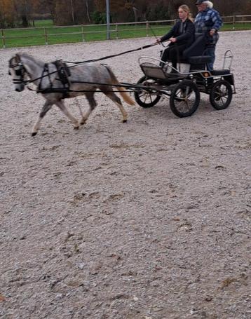 Goed betuigde in enkel en tweespan welsh ruin  beschikbaar voor biedingen