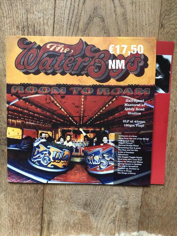 Waterboy’s- room to roam, Cd's en Dvd's, Vinyl | Rock, Zo goed als nieuw, Overige genres, Overige formaten, Ophalen