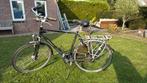 Te koop koga miyata, Gebruikt, Ophalen of Verzenden, Koga Miyata, Minder dan 10 versnellingen