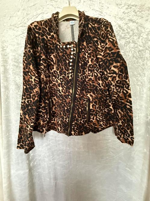 MS Mode tijger jasje maat 50, Kleding | Dames, Jasjes, Kostuums en Pakken, Zo goed als nieuw, Jasje, Maat 46/48 (XL) of groter