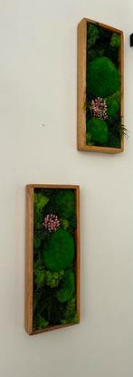 Handgemaakte Mos Kunst Set - Natuurlijke Muurdecoratie, Ophalen of Verzenden