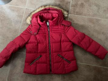 Nieuwe rode gewateerde winterjas - trend one (xxl/44/46) beschikbaar voor biedingen