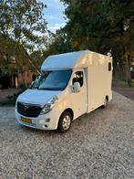 Opel Movano Horsetruck, Dieren en Toebehoren, Ophalen, Gebruikt, Polyester, 2-paards trailer