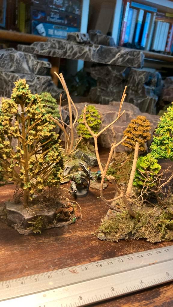 Set wargaming herfst bomen dnd bos terrein scenery, Hobby en Vrije tijd, Wargaming, Zo goed als nieuw, Overige soorten, Toebehoren