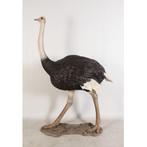 Ostrich beeld – Struisvogel Hoogte 213 cm, Nieuw, Ophalen