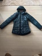 Pikeur jas mt: S, Ophalen of Verzenden, Zo goed als nieuw, Dressuur, Bovenkleding