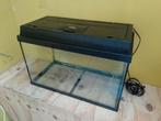 Juwel aquarium 60x30x42, Ophalen, Gebruikt, Leeg aquarium