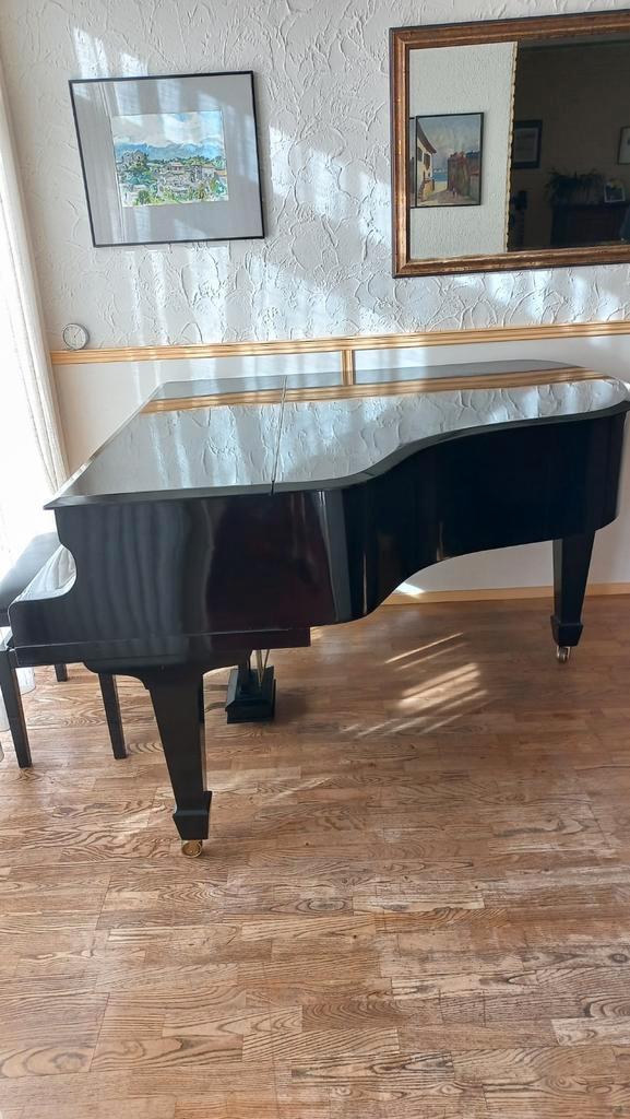 Eckstein vleugel met Live Saver System - Prachtexemplaar!, Muziek en Instrumenten, Piano's, Vleugel, Zwart, Ophalen