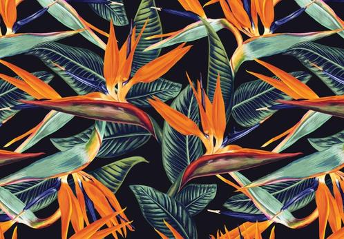 Strelitzia behang Donker, Paradijsvogelbloem, bloemen, Huis en Inrichting, Stoffering | Behang, minder dan 10 m², Verzenden