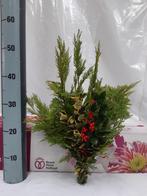 Kerstgroen met 5 verschillende soorten groen, Ophalen, Nieuw