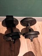 Dumbbells met schijven, Ophalen of Verzenden, Gebruikt, Rug, Dumbbell