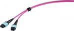 Renkforce MPO connection cable OM4, 3 m van € 33 NU € 19.95, Ophalen of Verzenden, Nieuw