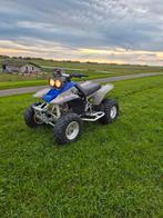 Yamaha Warrior, Motoren, Quads en Trikes, 1 cilinder, 350 cc