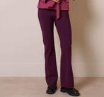 Studio Anneloes flair bonded broek blackberry travelstof L, Kleding | Dames, Broeken en Pantalons, Ophalen of Verzenden, Zo goed als nieuw
