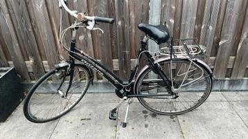 Gazelle medeo beschikbaar voor biedingen