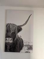 Hooglander Schilderij, Ophalen, Zo goed als nieuw, Schilderij, 50 tot 75 cm