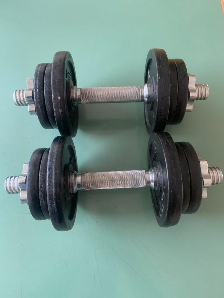 Set dumbells halters in Delft, Sport en Fitness, Fitnessmaterialen, Zo goed als nieuw, Dumbbell, Ophalen