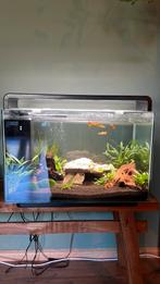 Home 65 super fish, Ophalen, Zo goed als nieuw, Gevuld zoetwateraquarium
