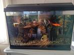 Juwel Aquarium 70 liter + toebehoren, Ophalen, Gebruikt, Verlichting of Verwarming