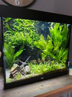 Juwel Lido 200 te koop, Dieren en Toebehoren, Ophalen, Gebruikt, Gevuld zoetwateraquarium