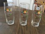 Dommelsch 250 jaar glas, Ophalen, Zo goed als nieuw, Glas of Glazen, Dommelsch