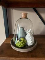 Glazen stolp met decoratie, Huis en Inrichting, Woonaccessoires | Overige, Ophalen, Zo goed als nieuw
