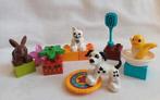 Lego Duplo Huisdieren set 10838, Ophalen of Verzenden, Zo goed als nieuw, Duplo