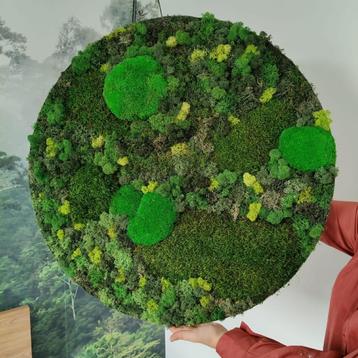 Handgemaakt rond mosschilderij / moscirkel 50cm beschikbaar voor biedingen