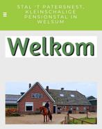 Pensionstalling  (GERESERVEERD ), Dieren en Toebehoren, Stalling en Weidegang, Weidegang, 2 of 3 paarden of pony's