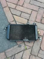 Hexagon 125-180cc radiateur piaggio/gilera, Ophalen of Verzenden