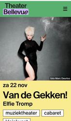 2 Tickets Van de Gekken 22-11-25, Tickets en Kaartjes, Evenementen en Festivals, Twee personen