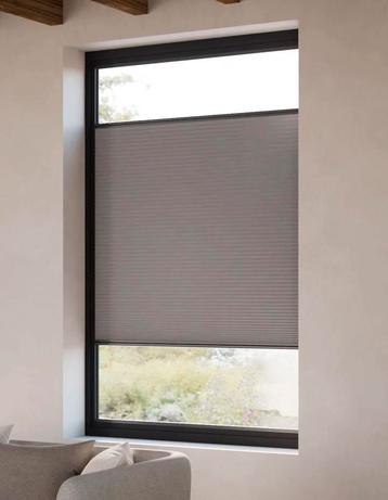 Dubbele pliségordijnen verduisterend beschikbaar voor biedingen