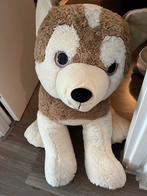Grote honden knuffel, Kinderen en Baby's, Speelgoed | Knuffels en Pluche, Ophalen of Verzenden, Zo goed als nieuw, Hond