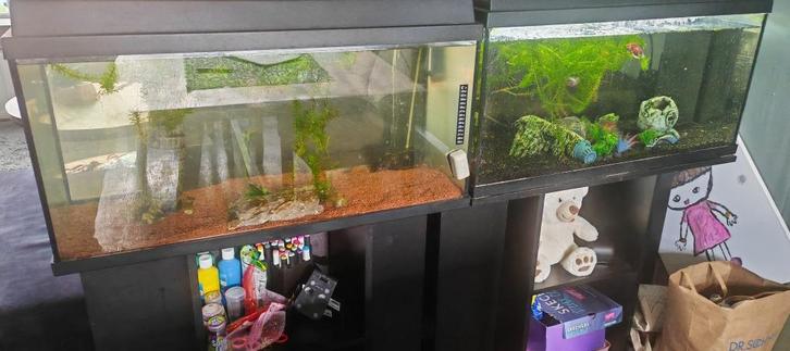 Aquarium, Dieren en Toebehoren, Vissen | Aquaria en Toebehoren, Gebruikt, Leeg aquarium, Ophalen of Verzenden