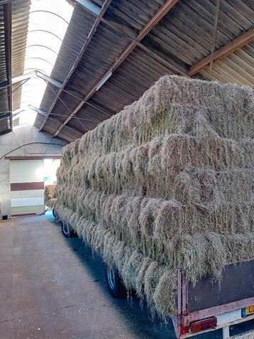 250 kleine pakjes hooi (VERKOCHT) beschikbaar voor biedingen