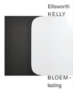 Ellsworth KELLY bloemlezing ISBN: 9789082568660, Gelezen, Rudi Fuchs, Ophalen of Verzenden, Schilder- en Tekenkunst