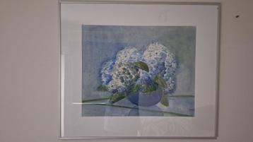 Stilleven hortensia aquarel beschikbaar voor biedingen